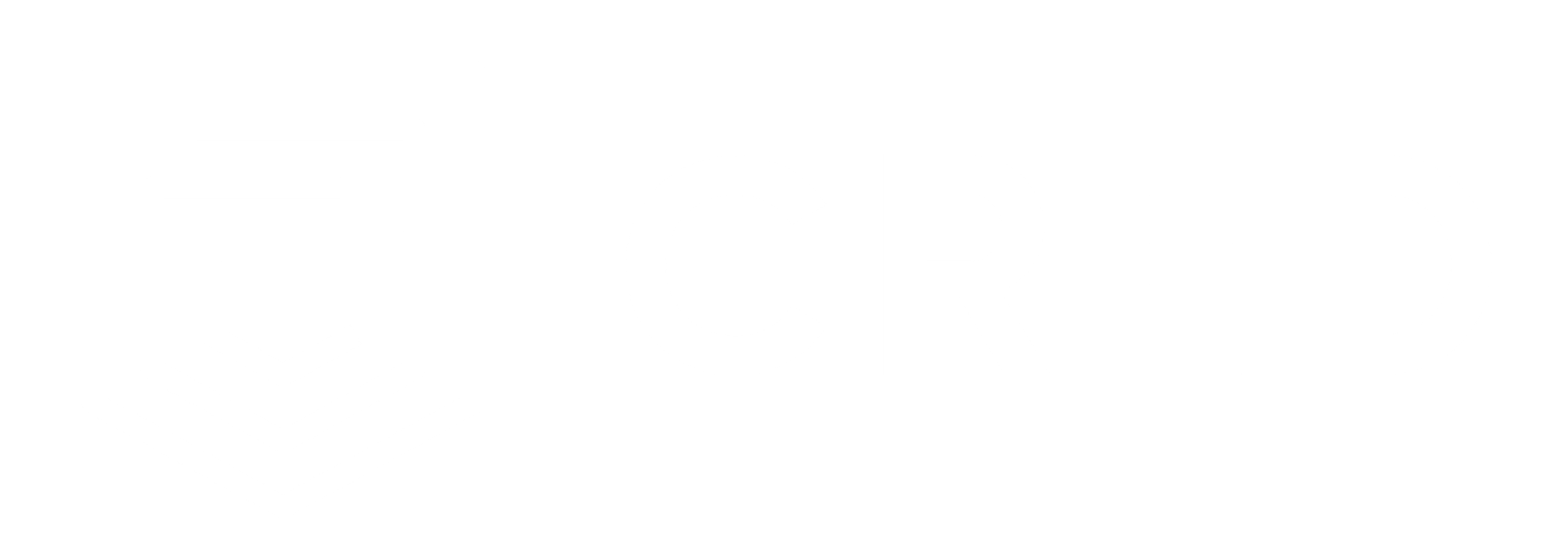 Placement company logo